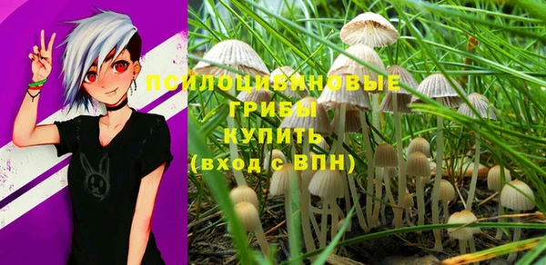 шишки Краснослободск