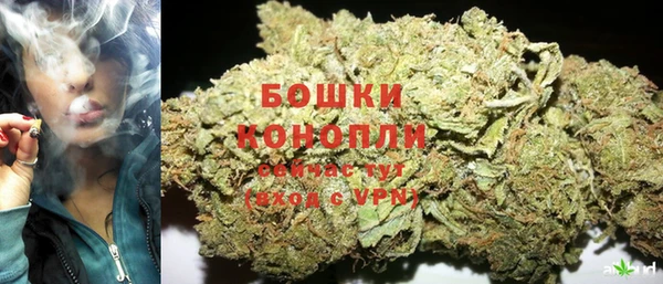 шишки Краснослободск