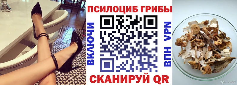 Галлюциногенные грибы Cubensis  дарк нет формула  Шацк 